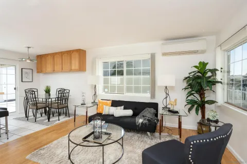 a living room with furniture and a potted plant