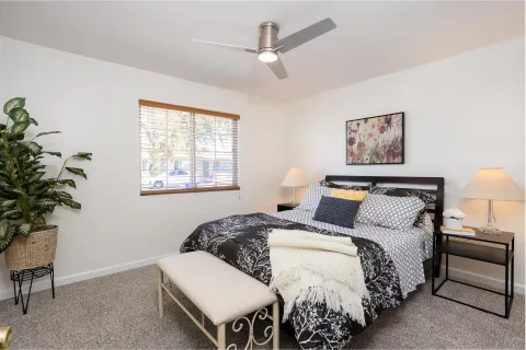 a bedroom with bed and a potted plant