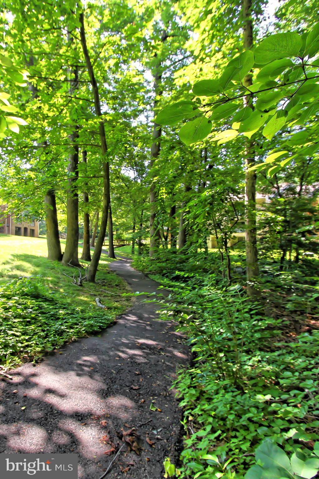 5920 Cove Landing Road, Unit 102 Burke, VA 22015 - Photo 31 of 45 a view of outdoor space