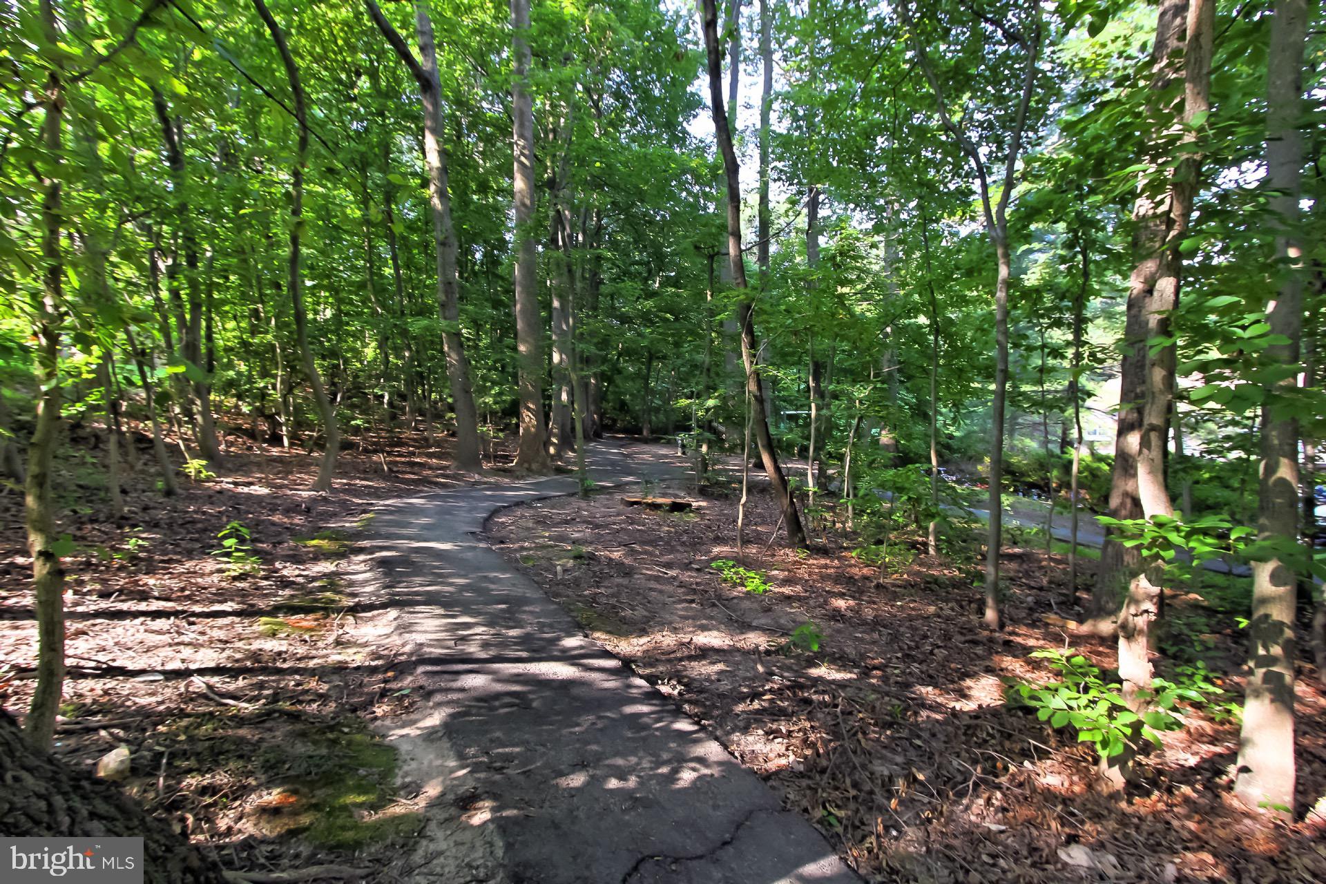 5920 Cove Landing Road, Unit 102 Burke, VA 22015 - Photo 33 of 45 a backyard of a house with lots of green space