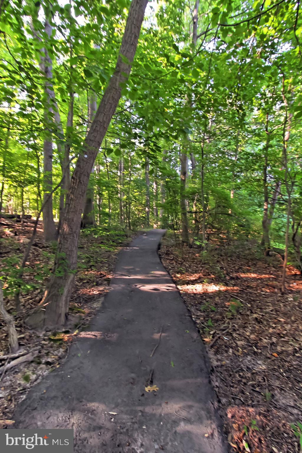 5920 Cove Landing Road, Unit 102 Burke, VA 22015 - Photo 35 of 45 a view of a yard with plants and trees