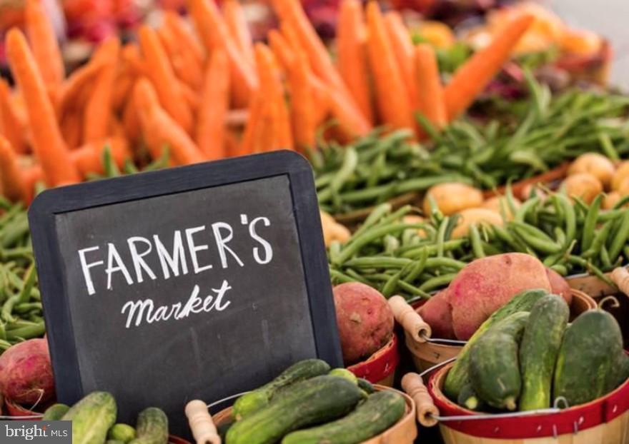 5920 Cove Landing Road, Unit 102 Burke, VA 22015 - Photo 44 of 45