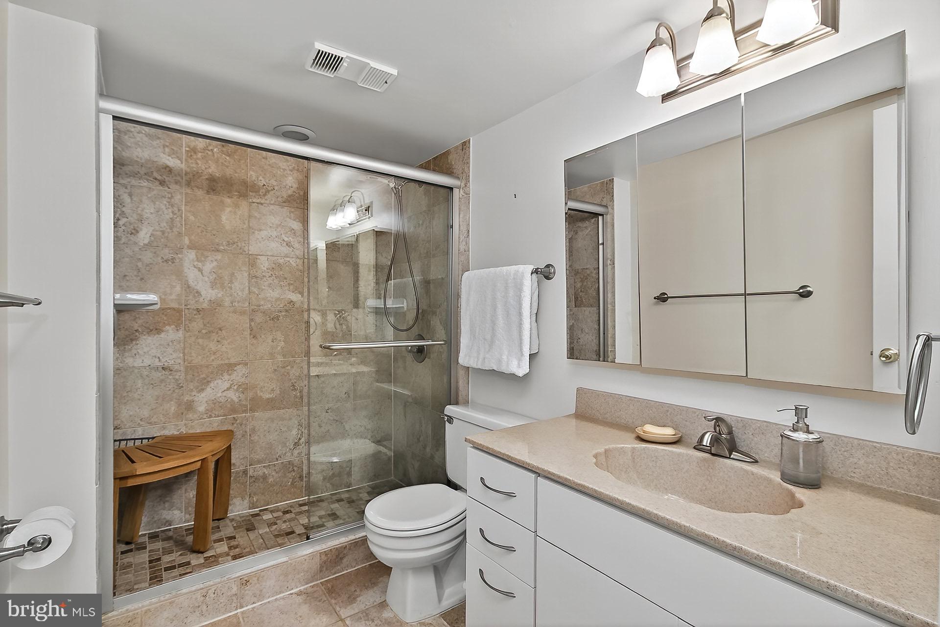 5920 Cove Landing Road, Unit 102 Burke, VA 22015 - Photo 9 of 45 a bathroom with a sink toilet a mirror and shower