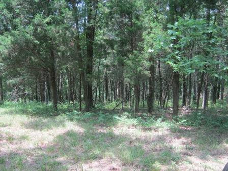 1354 Birdie Road Lawrenceburg, KY 40342 - Photo 20 of 55 Photo 20