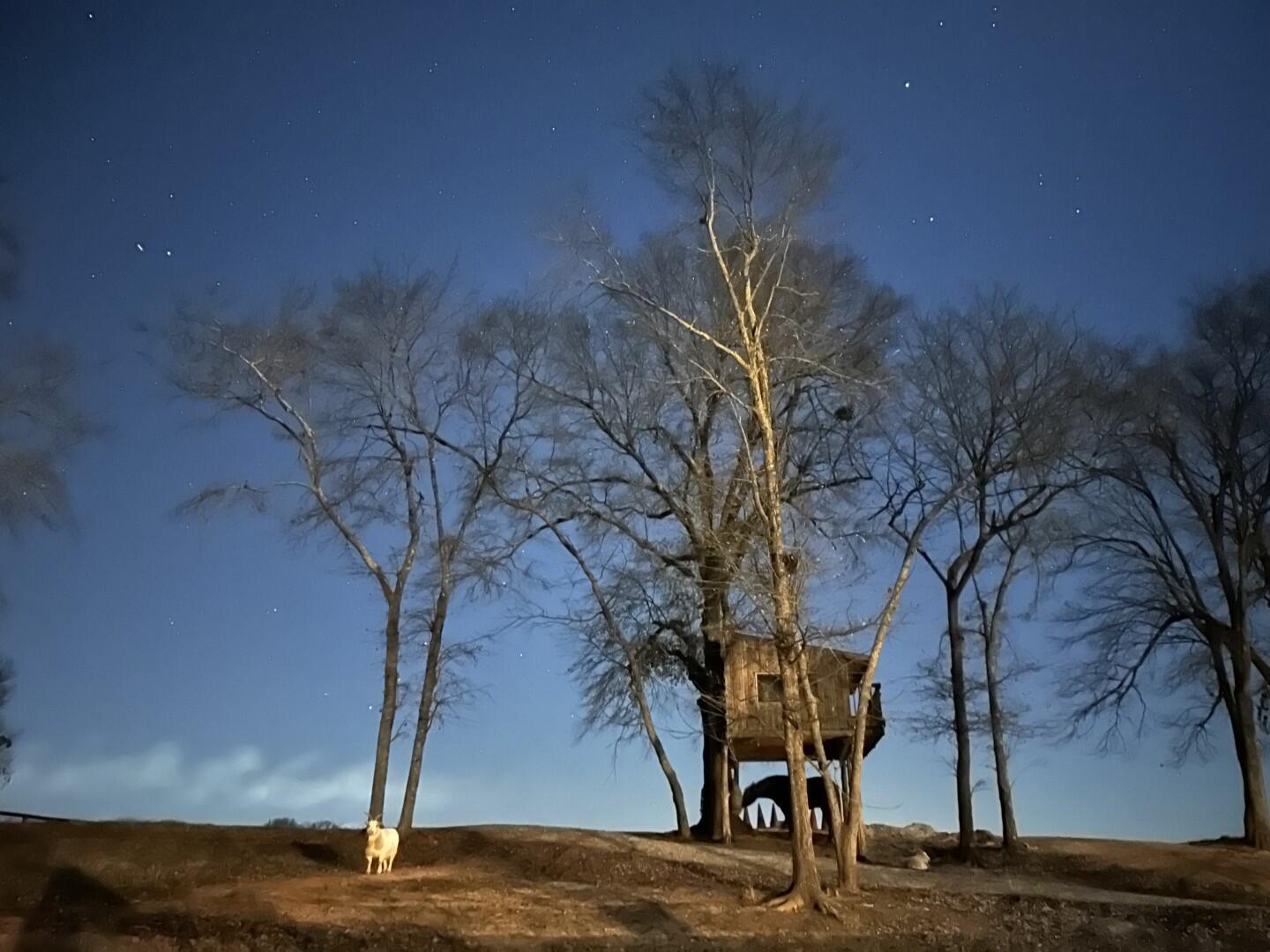 127-0 Martin Hollow Road Aiken, SC 29803 - Photo 66 of 71