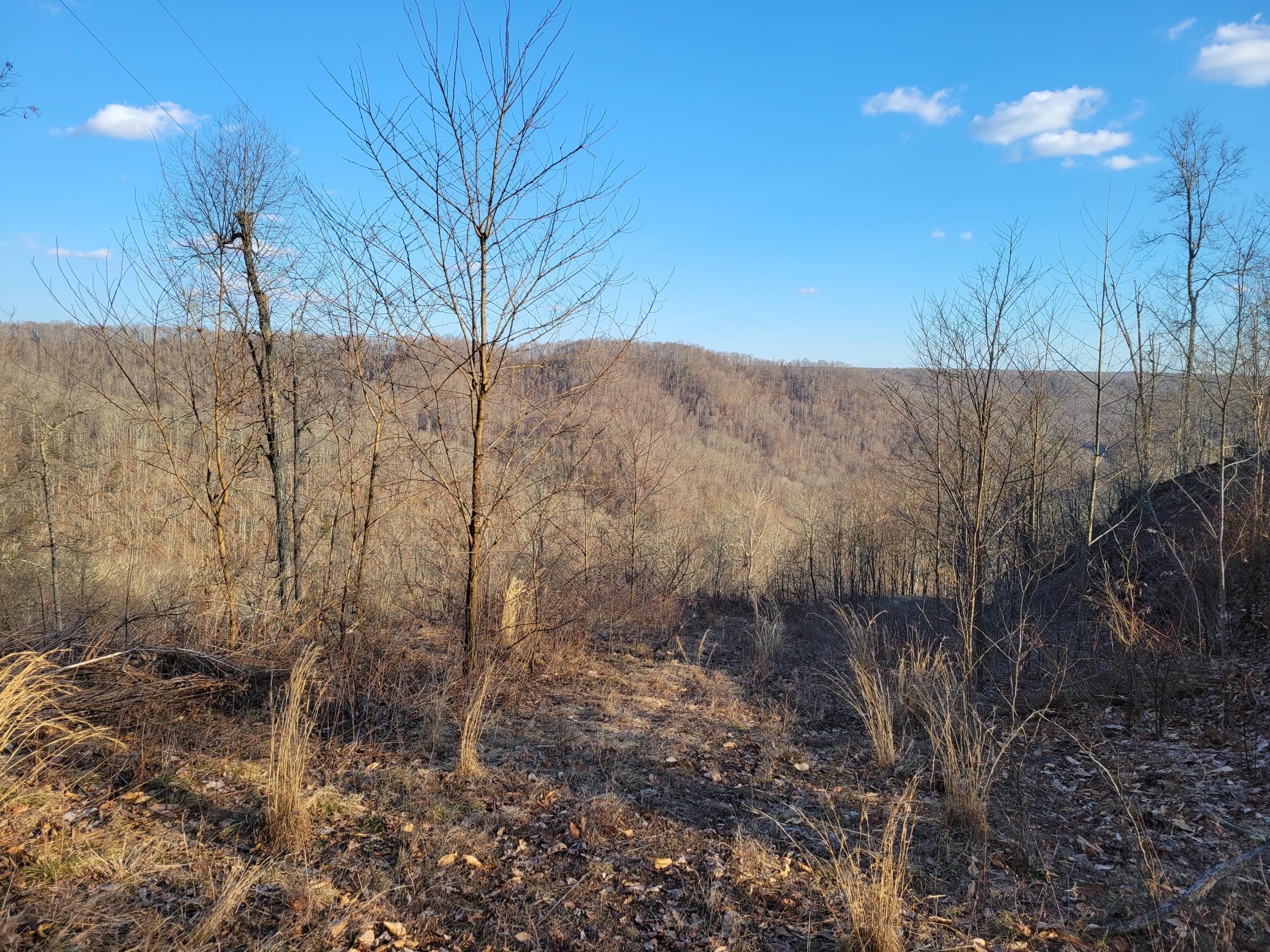 2419 Robins Fork Road Renick, WV 24966 - Photo 1 of 54 Gallery Image 1