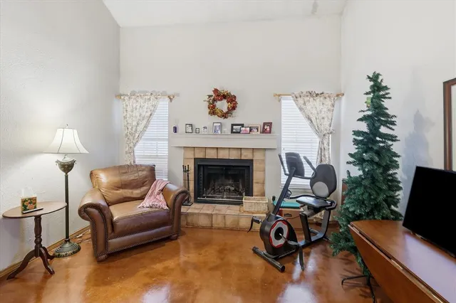 a living room with furniture a fireplace and a potted plant