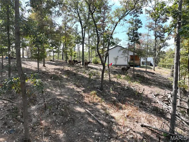 $429,900 | 961 Wayne 519, Wappapello, MO 63966