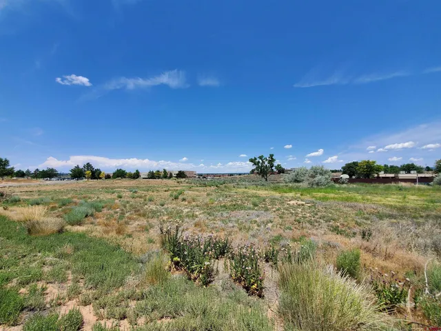 $135,000 | Tbd East Driscoll Street, Cortez, CO 81321
