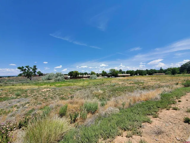 $135,000 | Tbd East Driscoll Street, Cortez, CO 81321