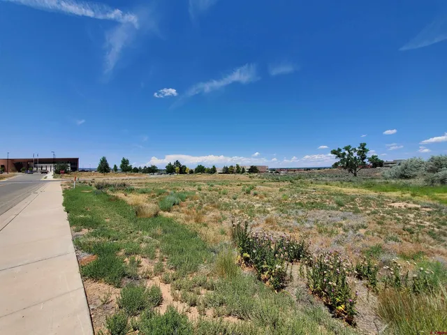 $135,000 | Tbd East Driscoll Street, Cortez, CO 81321