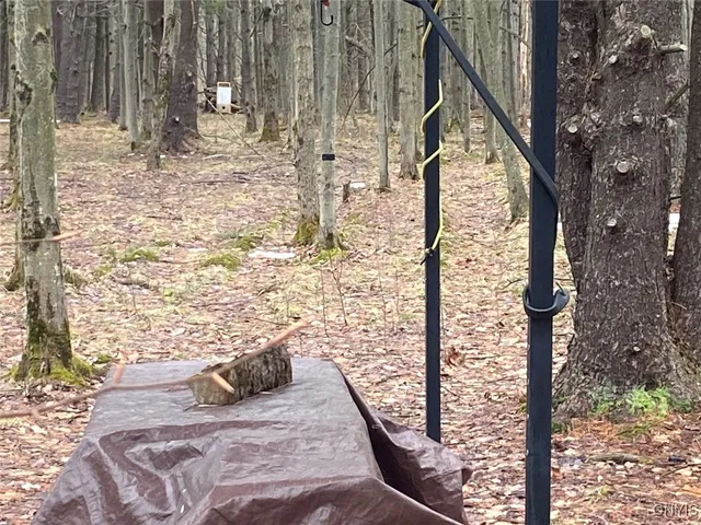 $58,900 | Searles Road, Friendship, NY 14739