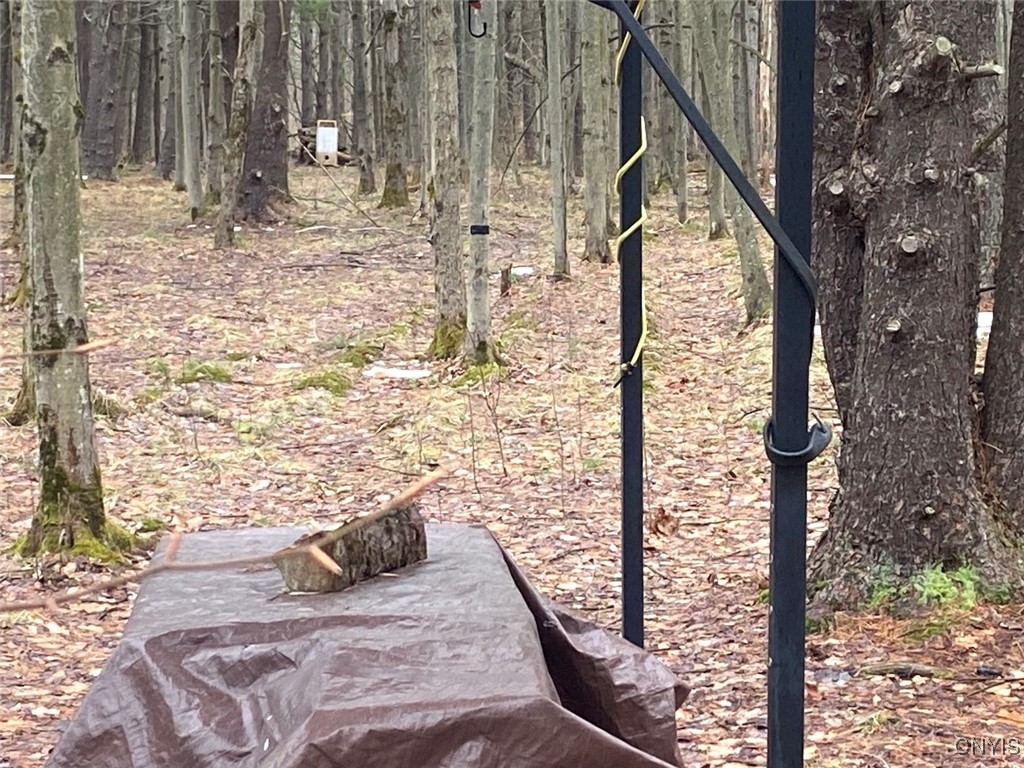 Searles Road Friendship, NY 14739 - Photo 26 of 34