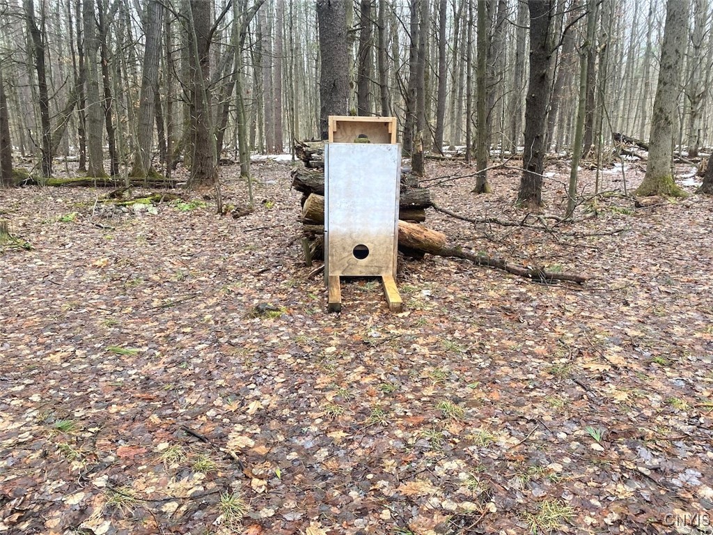 Searles Road Friendship, NY 14739 - Photo 27 of 34