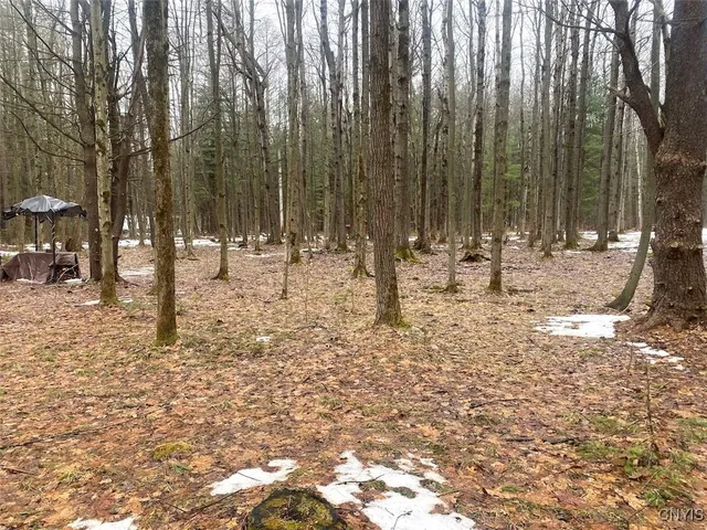 $58,900 | Searles Road, Friendship, NY 14739