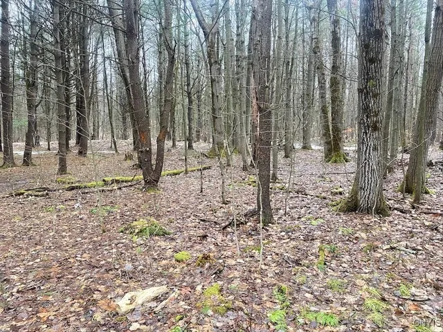 $58,900 | Searles Road, Friendship, NY 14739