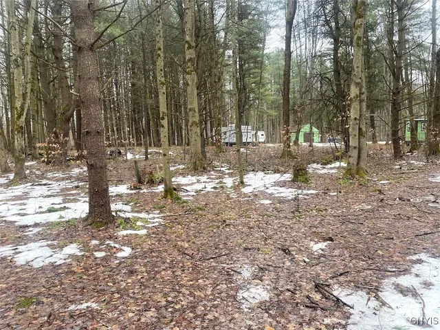 $58,900 | Searles Road, Friendship, NY 14739