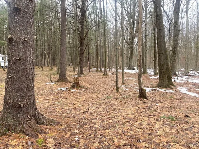 $58,900 | Searles Road, Friendship, NY 14739