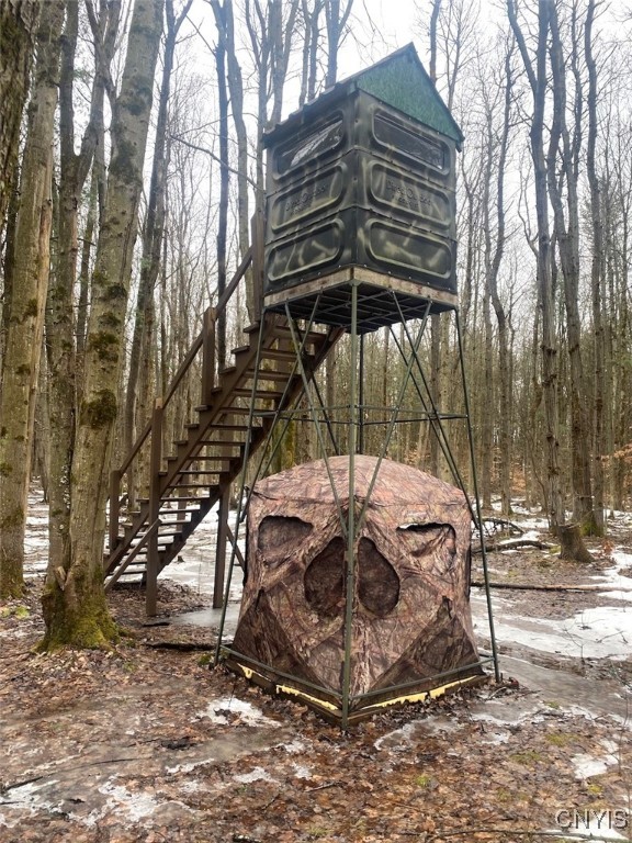 Searles Road Friendship, NY 14739 - Photo 33 of 34