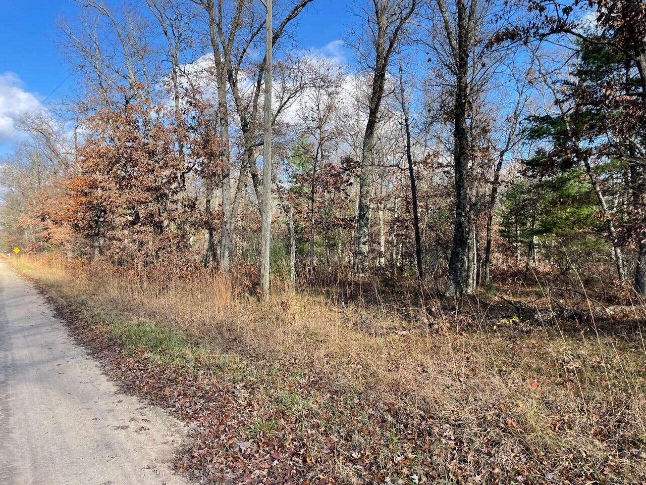 V/l Snyder Road Wellston, MI 49689 - Photo 3 of 7 IMG_5955