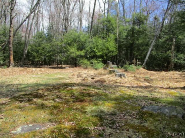 378 Preacher Hill Road Cresco, PA 18326 - Photo 13 of 17 Gallery Image 13