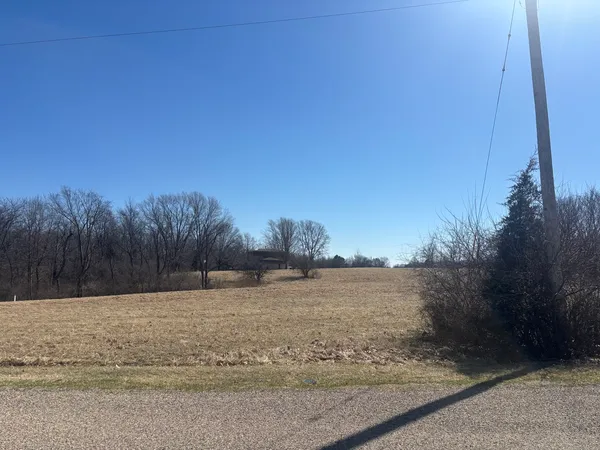 a view of a dry yard with trees in the background