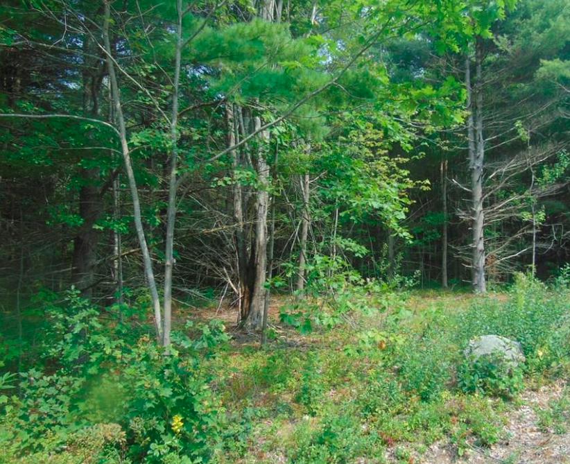 0 Proctor Road Biddeford, ME 04005 - Photo 2 of 2 Screen Shot 2020-06-15 at 1.05.10 PM