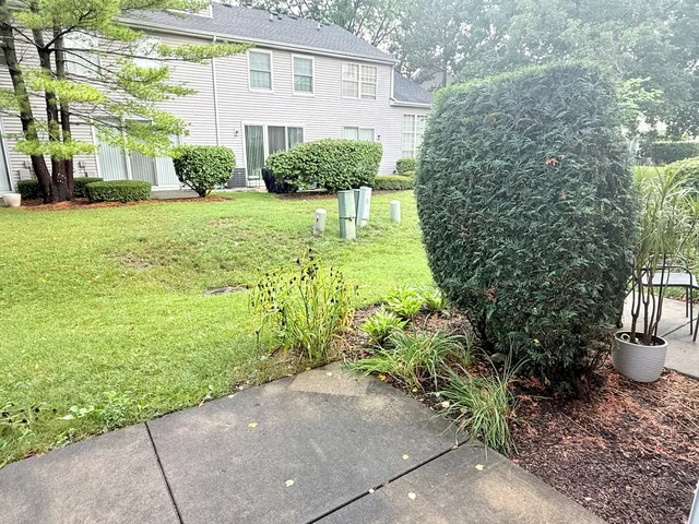 a view of a back yard of the house