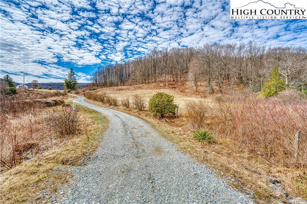 Jim Penley Road Boone, NC 28607 - Photo 4 of 13 a view of a yard with wooden fence