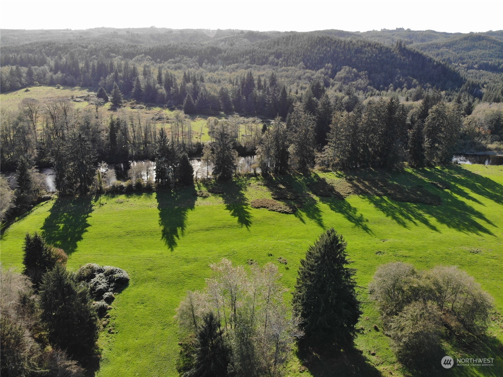 2868 Clearwater Road Forks, WA 98331 - Photo 13 of 15 Gallery Image 13