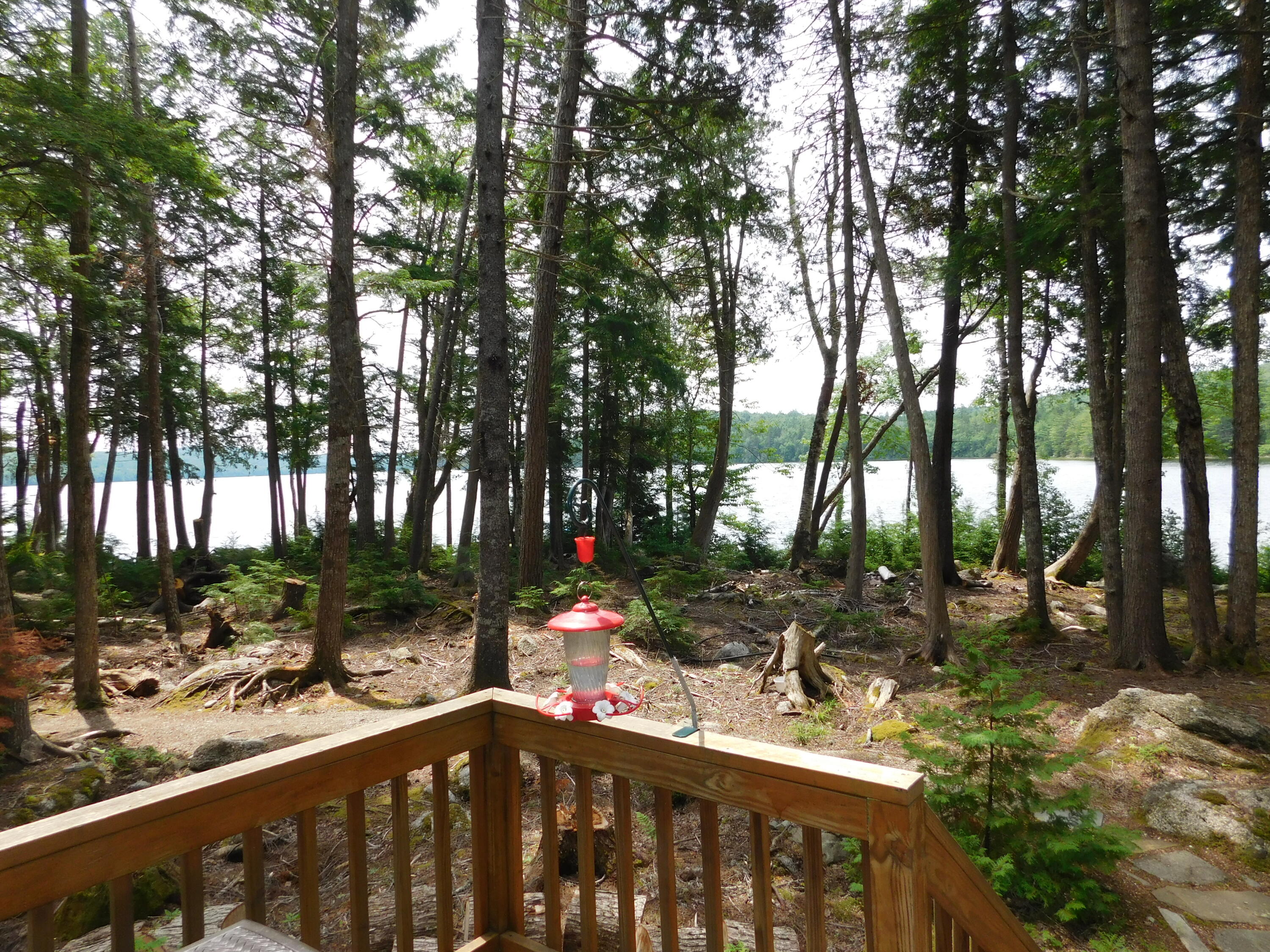 Lot 10 Lot Road Aurora, ME 04408 - Photo 15 of 53 DSCN8738