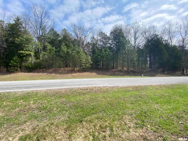 $38,000 | 396-399 Parrish Ridge Road, Goreville, IL 62939