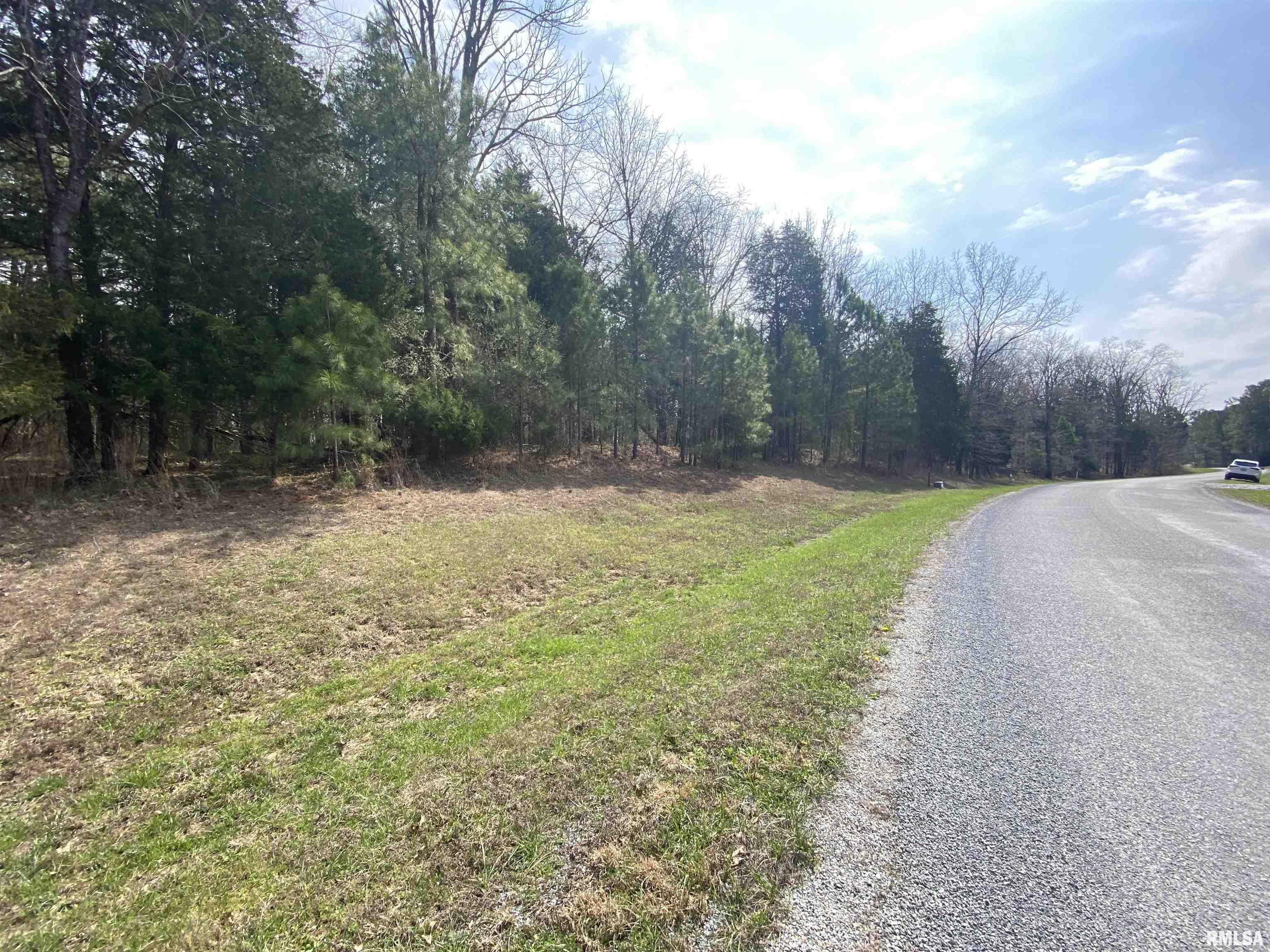 396-399 Parrish Ridge Road Goreville, IL 62939 - Photo 2 of 7