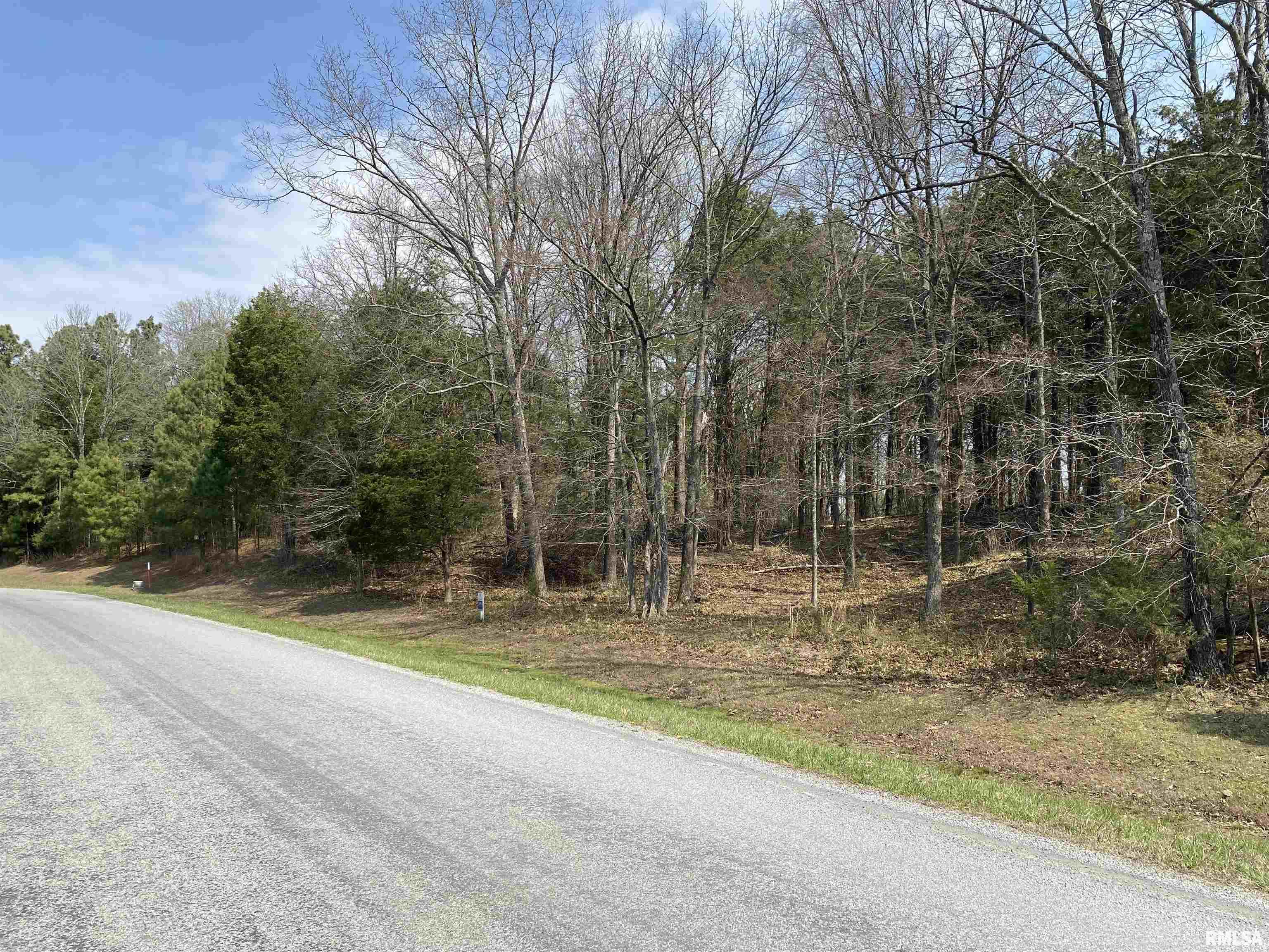 396-399 Parrish Ridge Road Goreville, IL 62939 - Photo 3 of 7