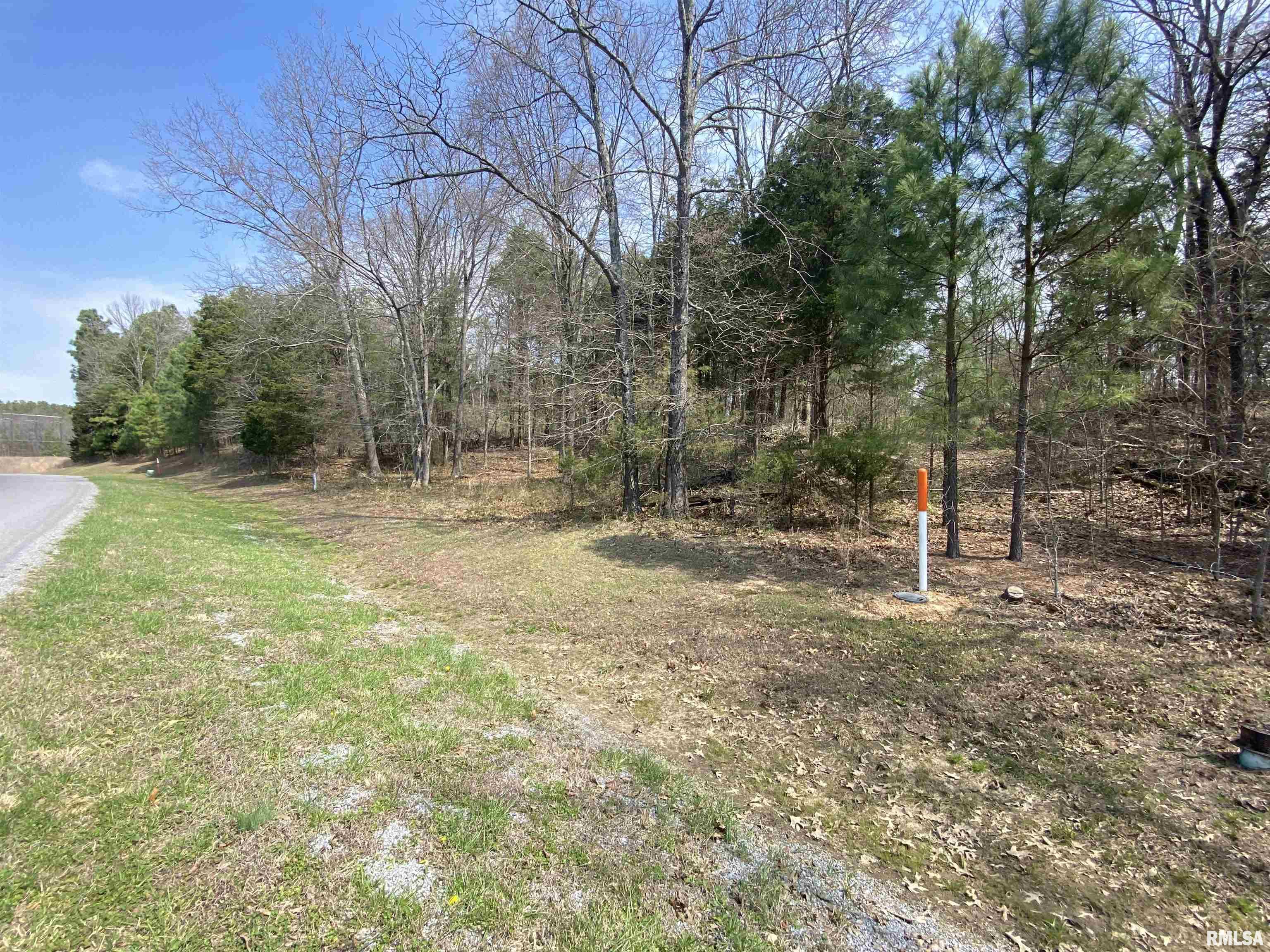 396-399 Parrish Ridge Road Goreville, IL 62939 - Photo 4 of 7