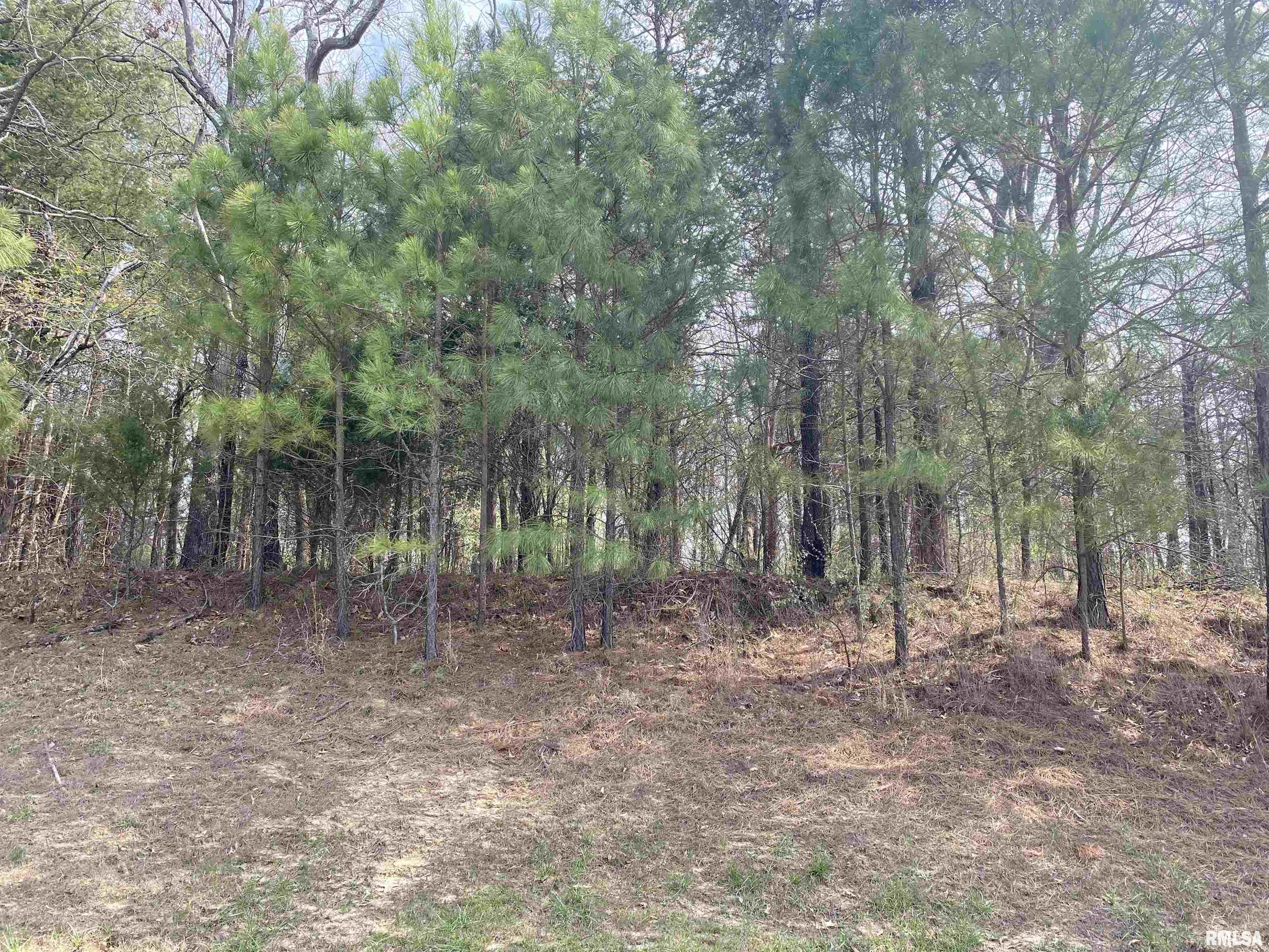 396-399 Parrish Ridge Road Goreville, IL 62939 - Photo 5 of 7