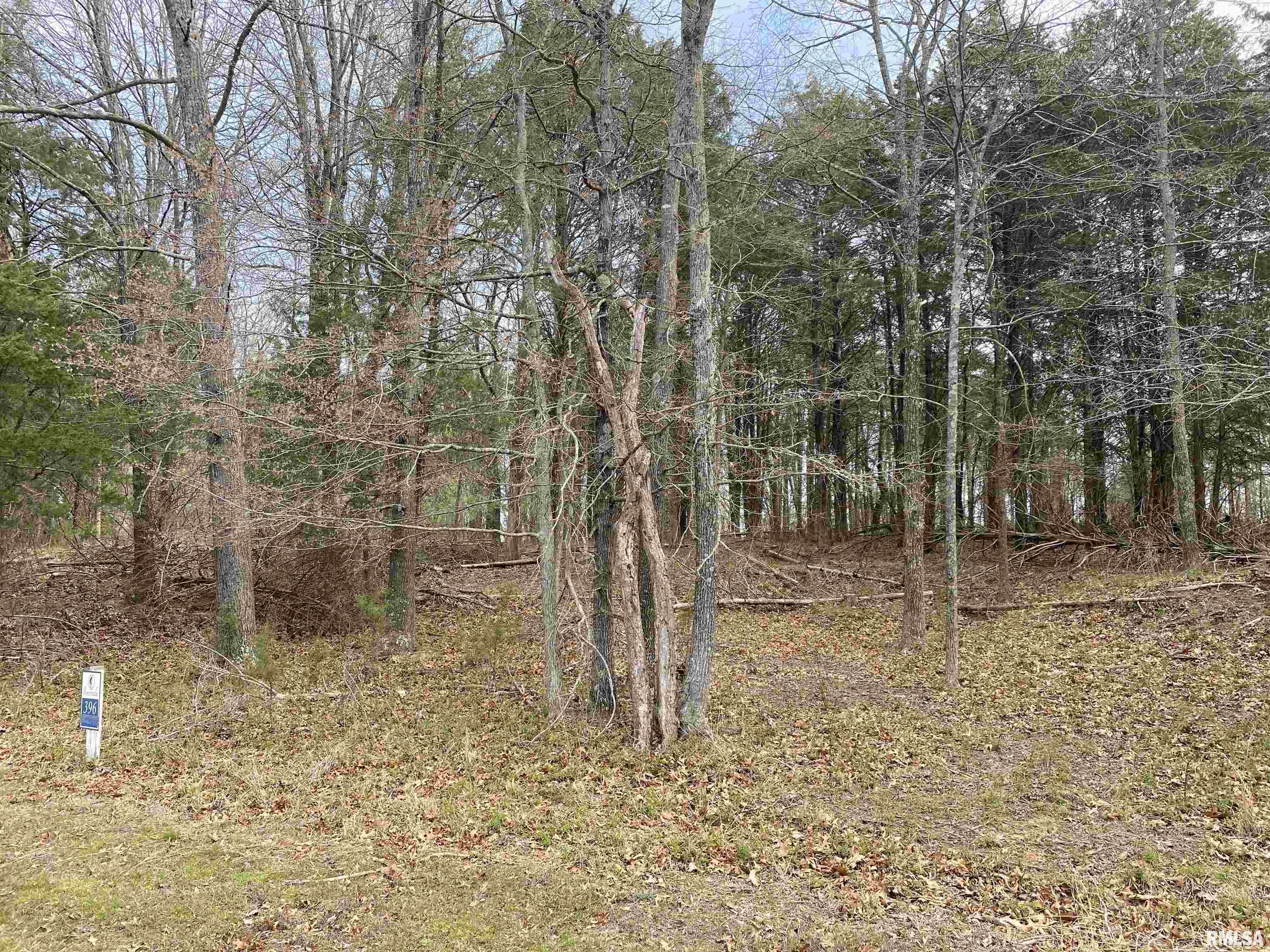 396-399 Parrish Ridge Road Goreville, IL 62939 - Photo 6 of 7
