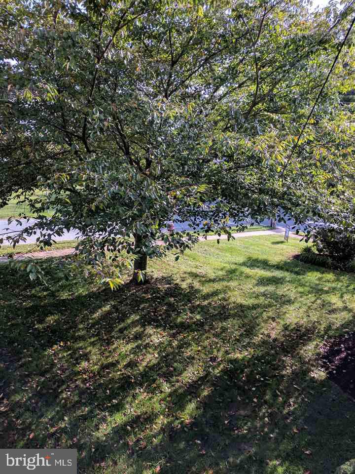 401 Gibbel Road Harrisburg, PA 17112 - Photo 4 of 25 Gallery Image 4