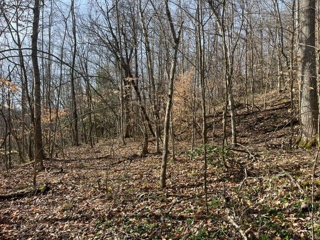 326 Earl Crisp Road Sandy Hook, KY 41171 - Photo 7 of 10