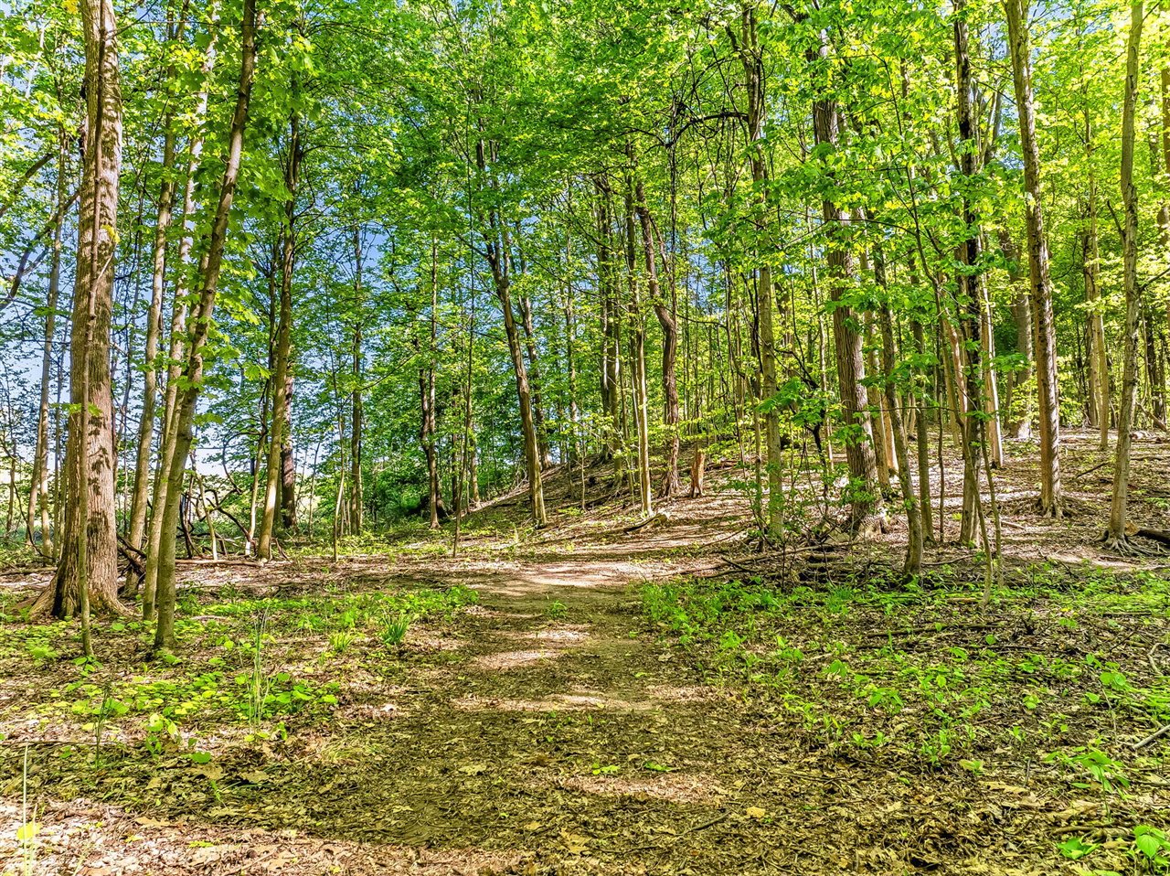 2099 East Clear Lake Road Buchanan, MI 49107 - Photo 55 of 65