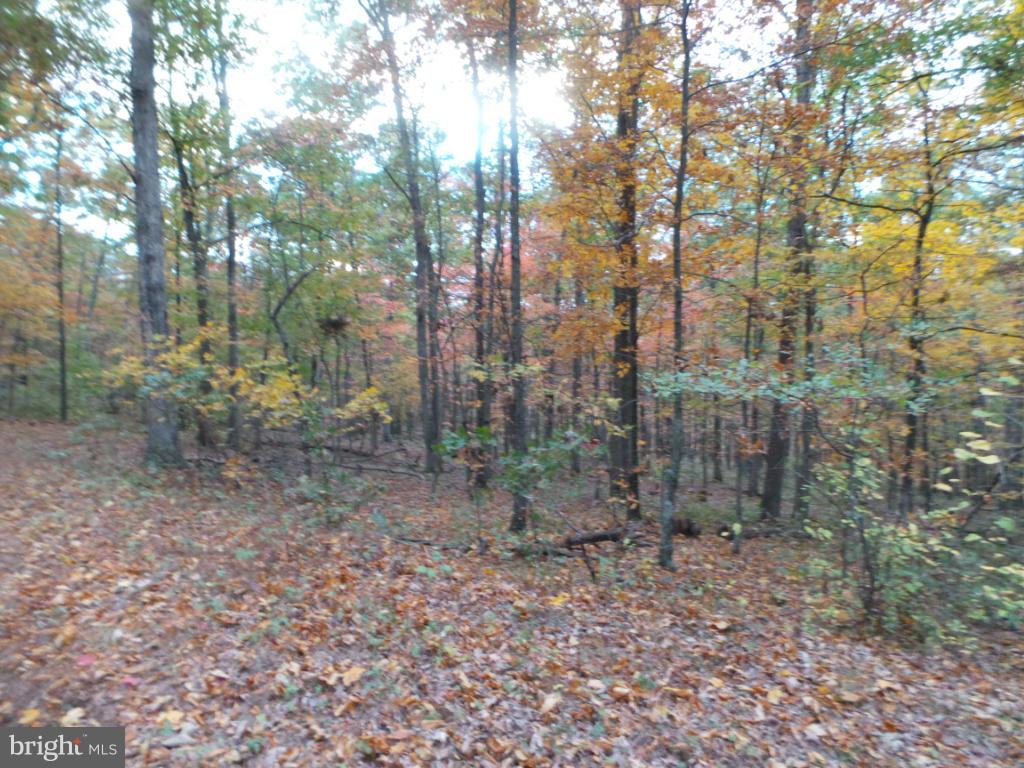 6 Off Sticky Kline Road Berkeley Springs, WV 25411 - Photo 3 of 6 Exterior (General)