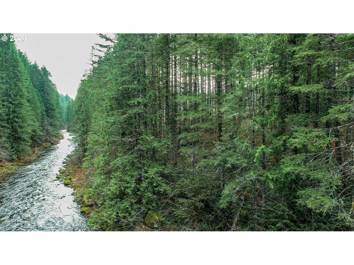 Hemlock Road Carson, WA 98610 - Photo 12 of 22 Gallery Image 12