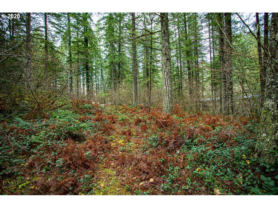 Hemlock Road Carson, WA 98610 - Photo 19 of 22 Gallery Image 19
