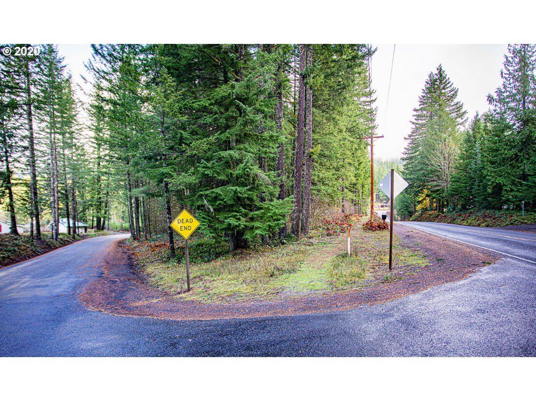 Hemlock Road Carson, WA 98610 - Photo 21 of 22 Gallery Image 21