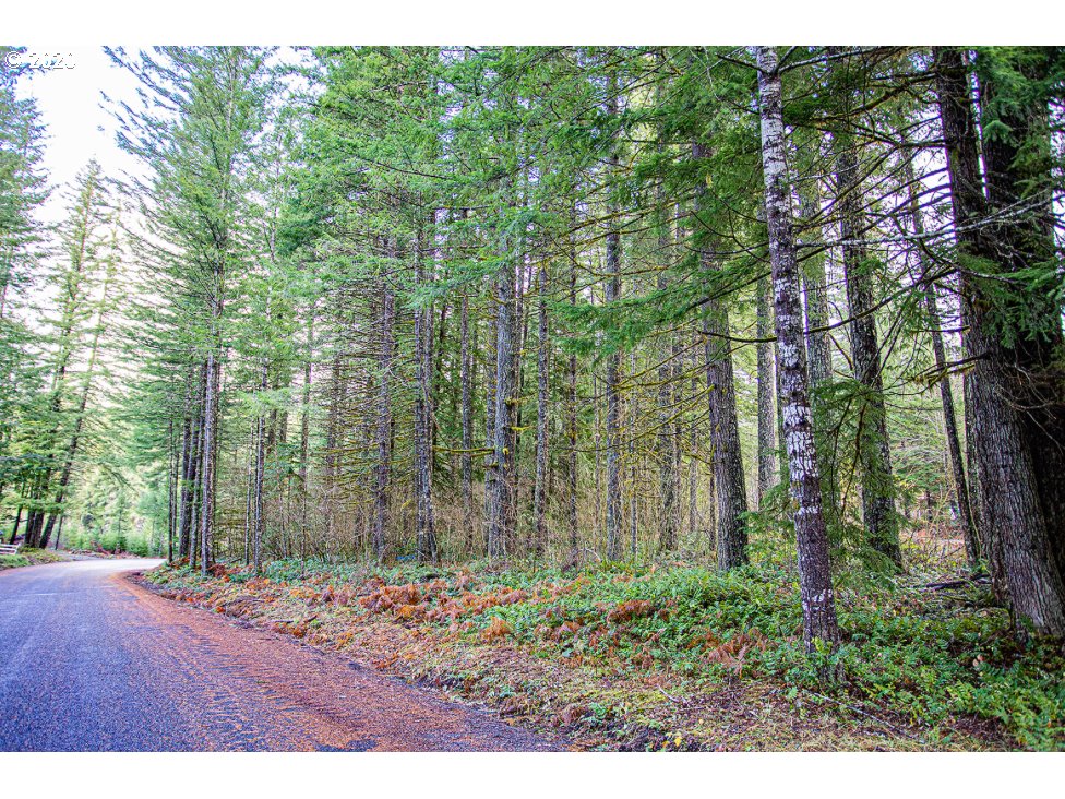 Hemlock Road Carson, WA 98610 - Photo 22 of 22 Gallery Image 22