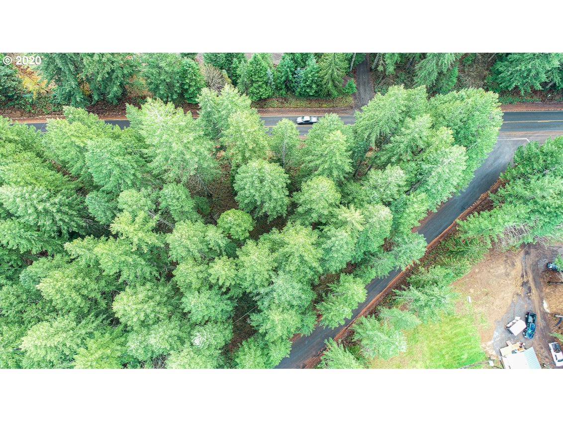 Hemlock Road Carson, WA 98610 - Photo 9 of 22 Gallery Image 9