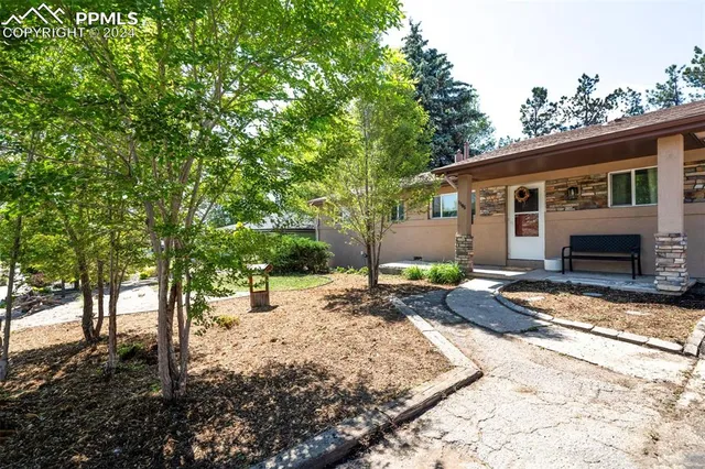 a view of a backyard with a tree