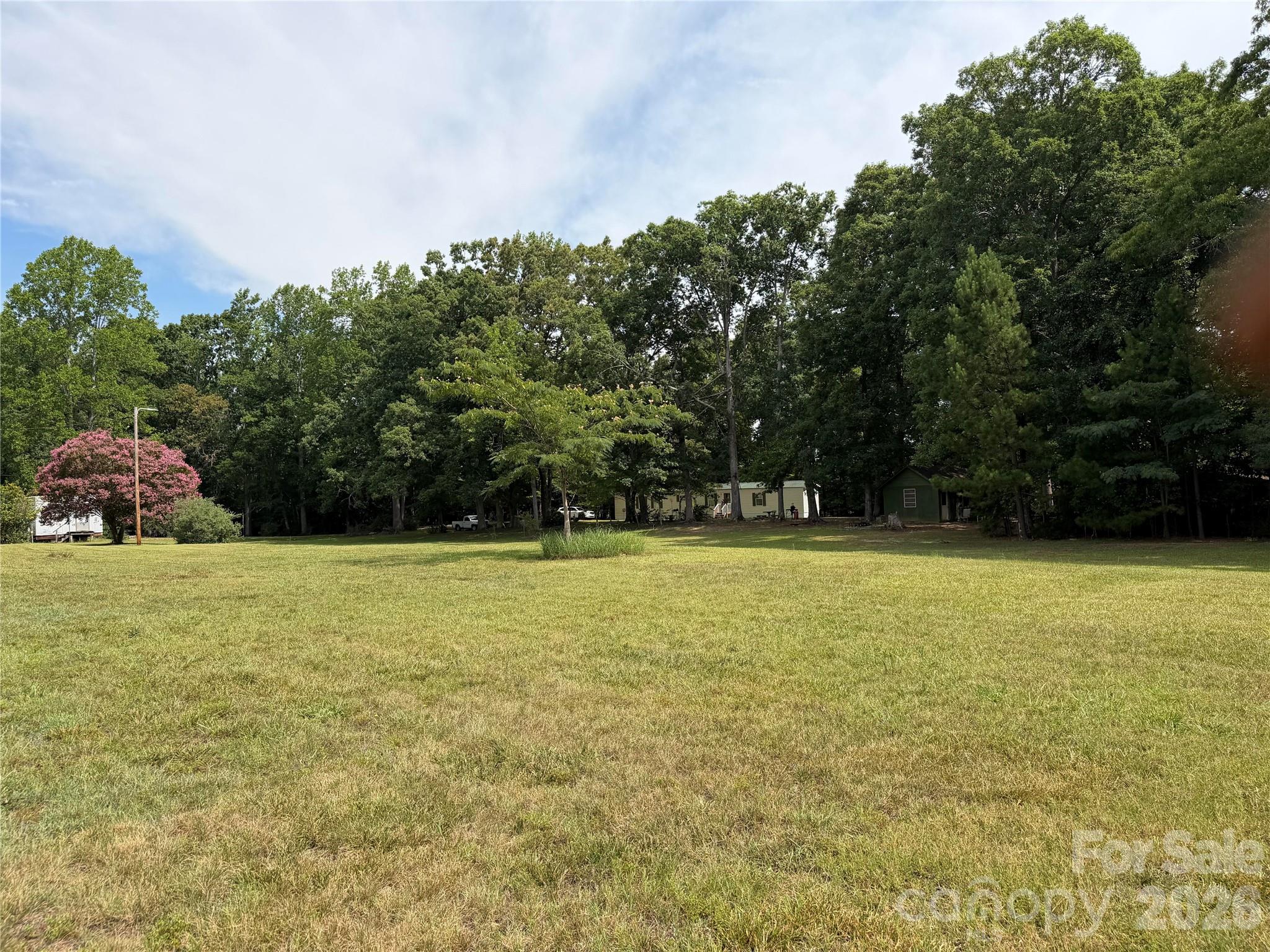 556 Gilbert Road Columbus, NC 28722 - Photo 4 of 15