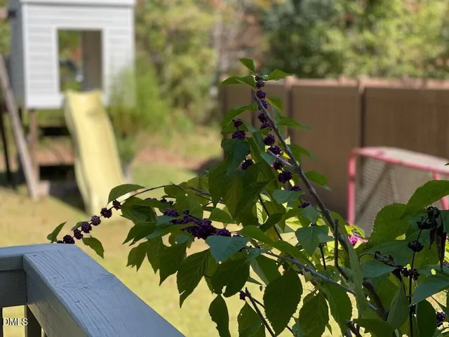a view of a garden with sitting area