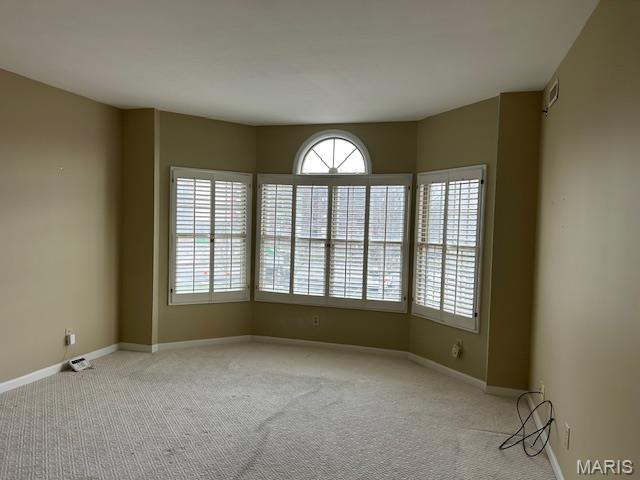 567 Sarah Lane, Unit 301 Creve Coeur, MO 63141 - Photo 16 of 41